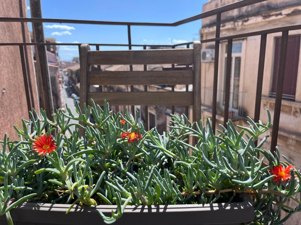 Mita Apartments Catania Luaran gambar